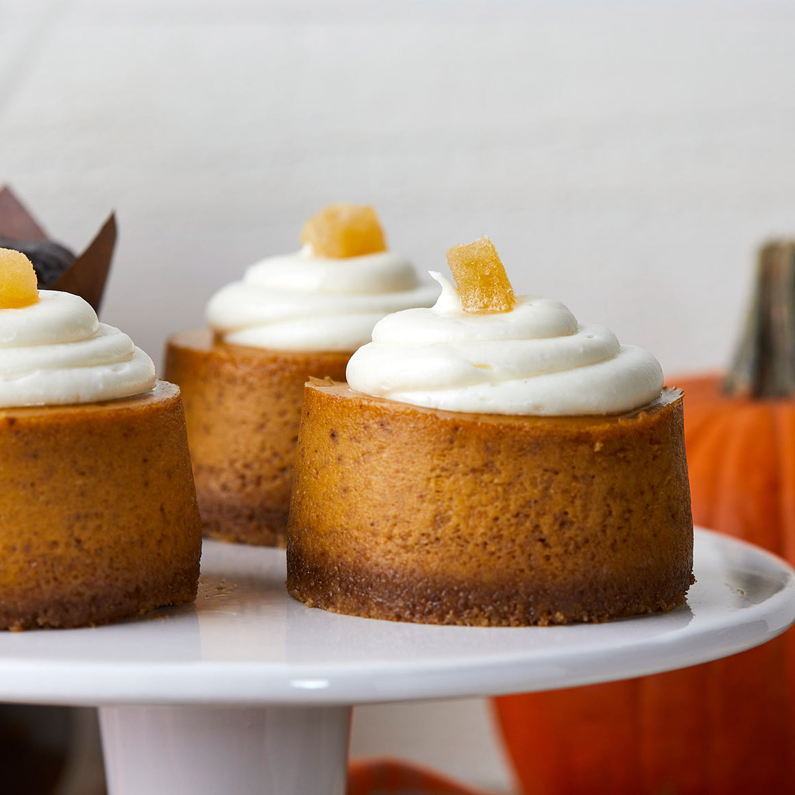 Pumpkin Cheesecake