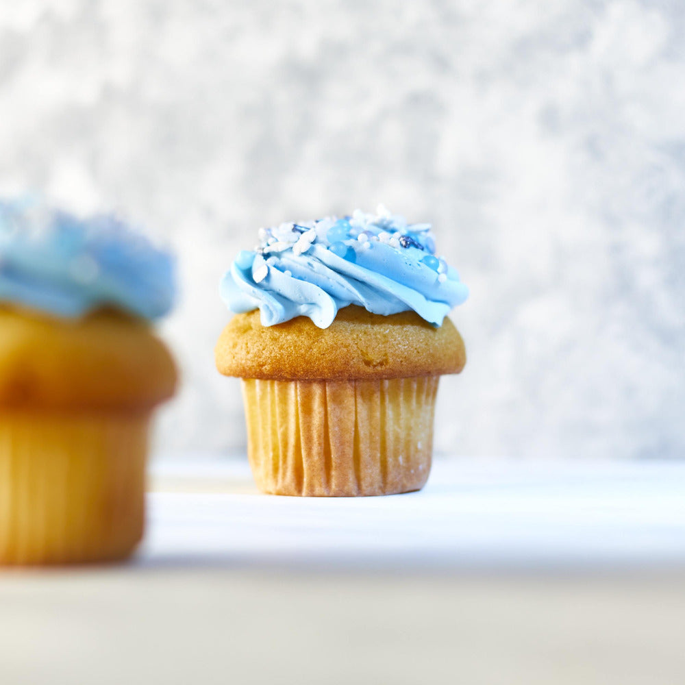 Vanilla Winter Cupcake
