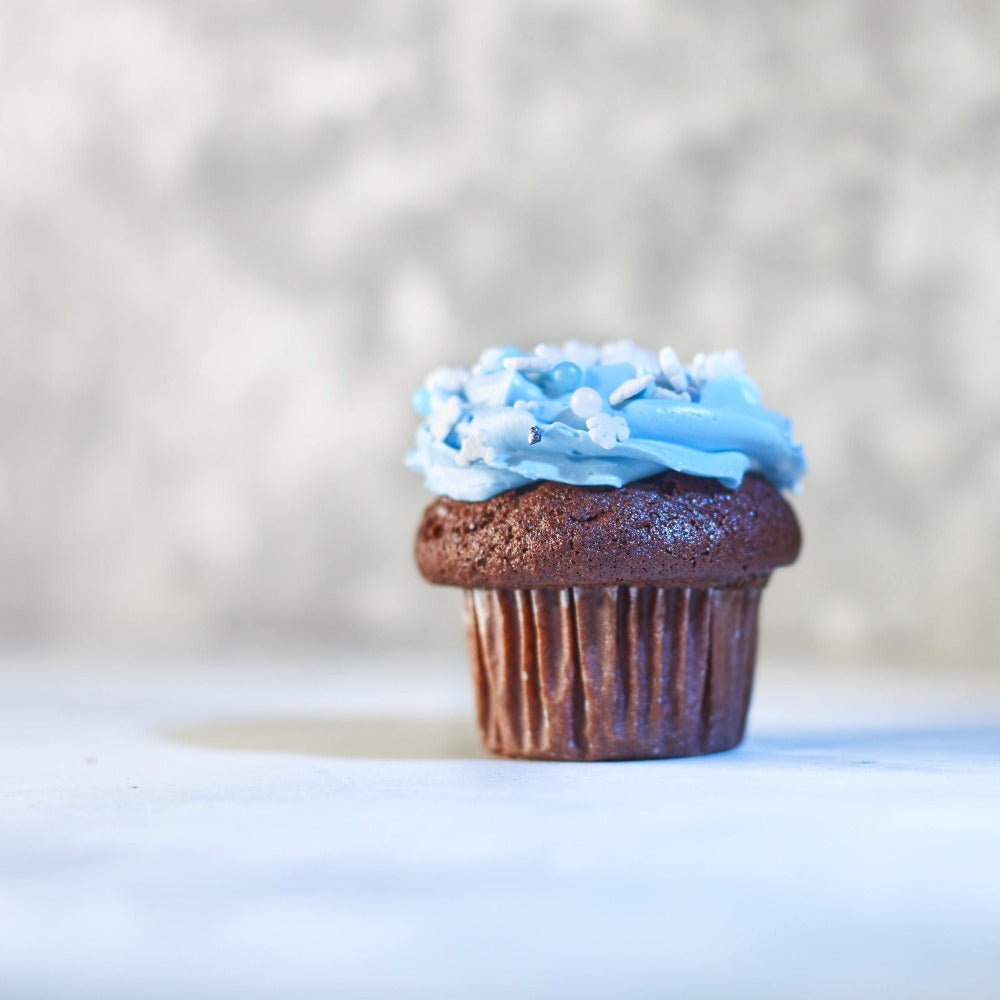 Chocolate Winter Cupcake